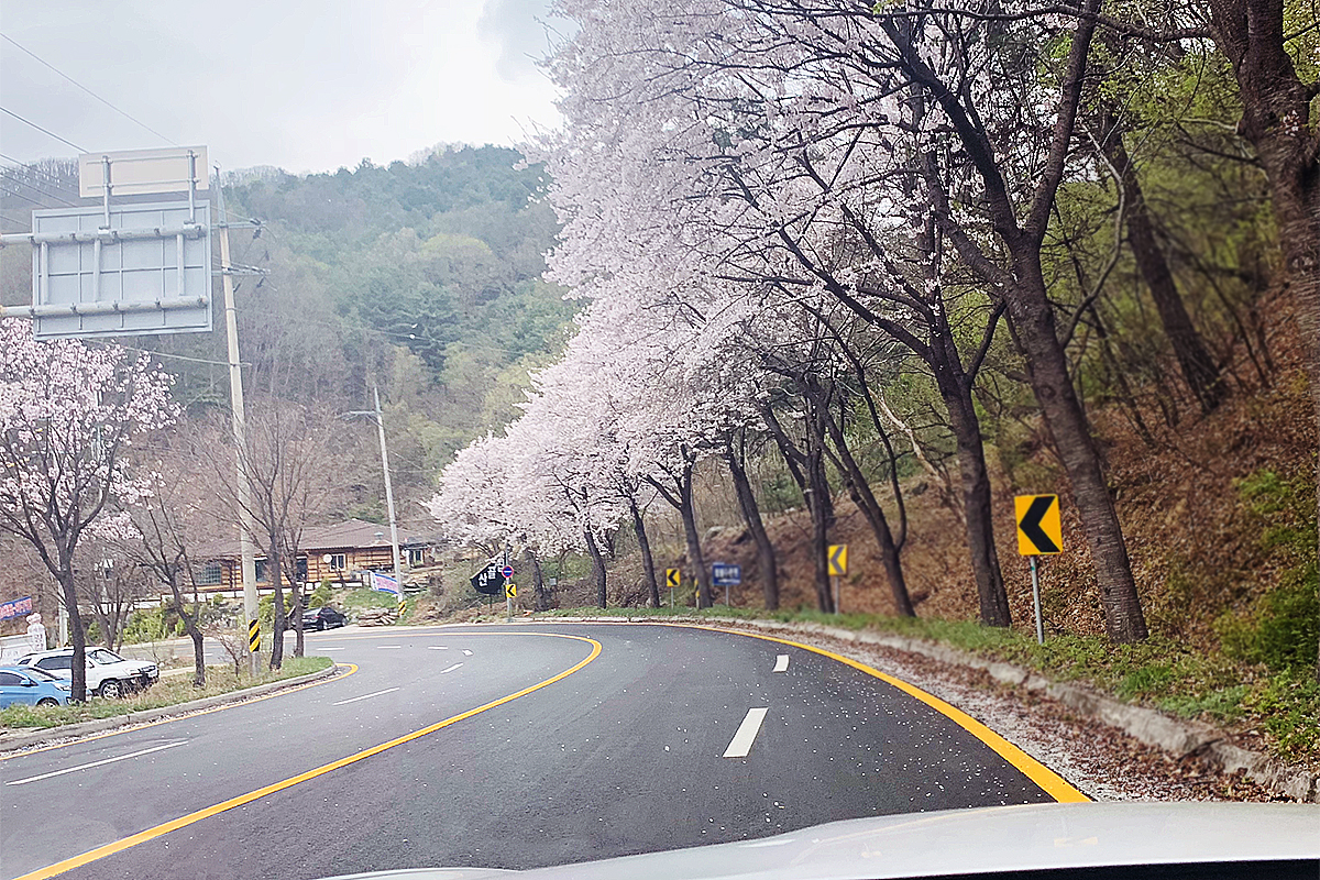 뚜따의 계절