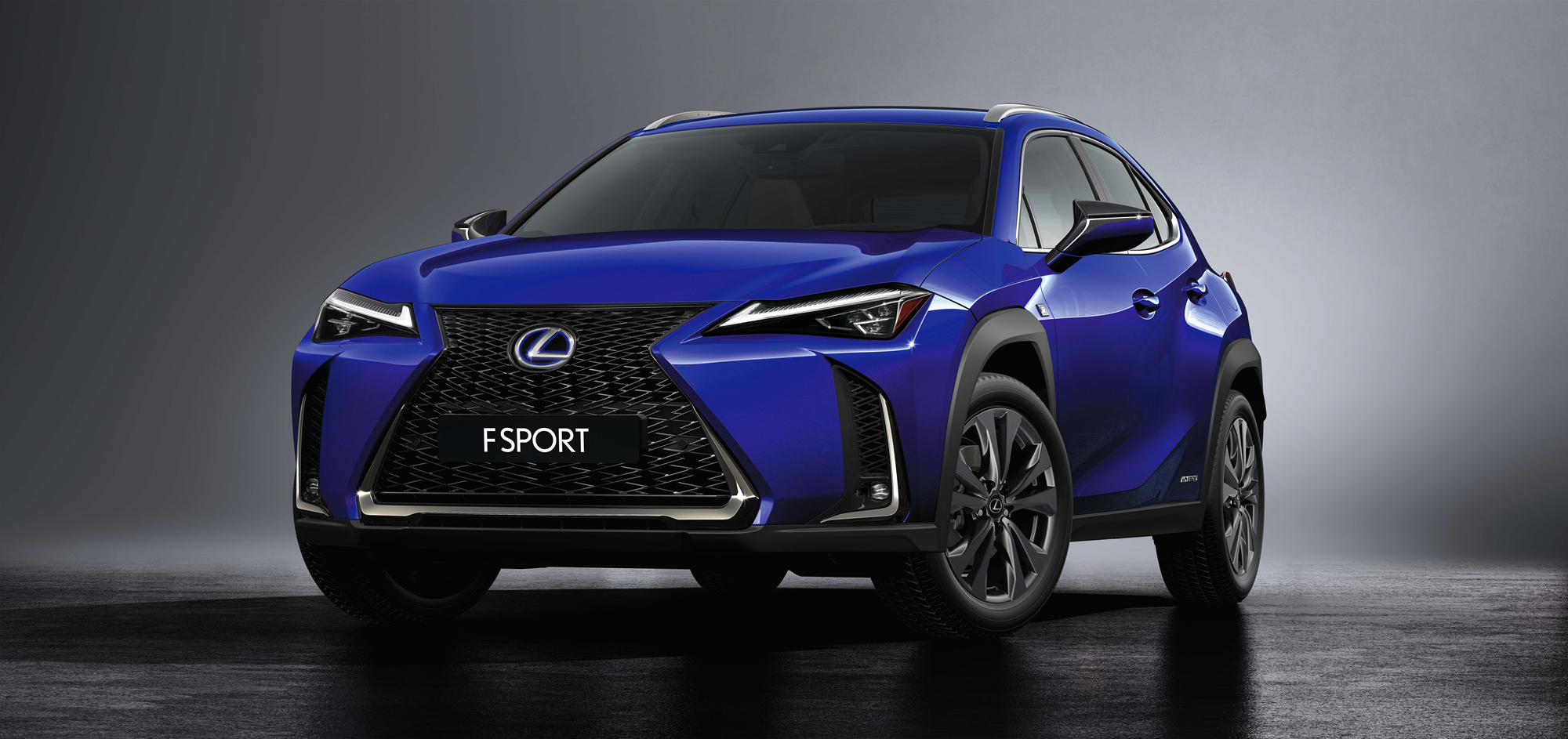 렉서스 UX 250h,
디자인 감성과 재미 더한 F 스포츠 추가