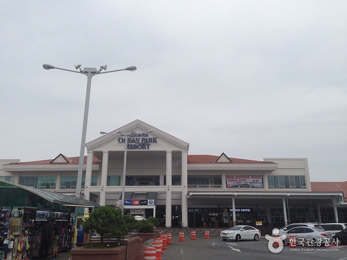 설특집!
명물 고속도로 휴게소 가이드