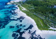 제주 여행 계획 중? 내 돈 안쓰고 다녀올 수 있는 기회 제주 여행 계획