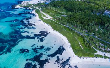 제주 여행 계획 중? 내 돈 안쓰고 다녀올 수 있는 기회 제주 여행 계획